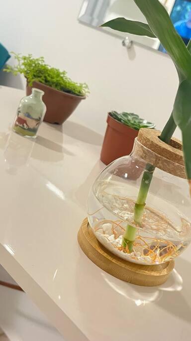 Apartamento No Andar Terreo Foz do Iguacu Ngoại thất bức ảnh